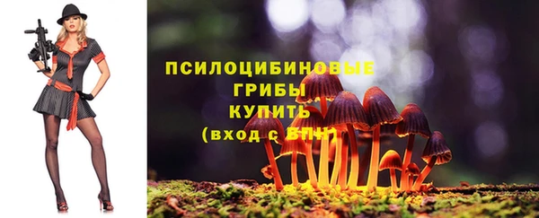 мдпв Остров
