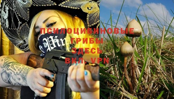 прущий лед Осинники