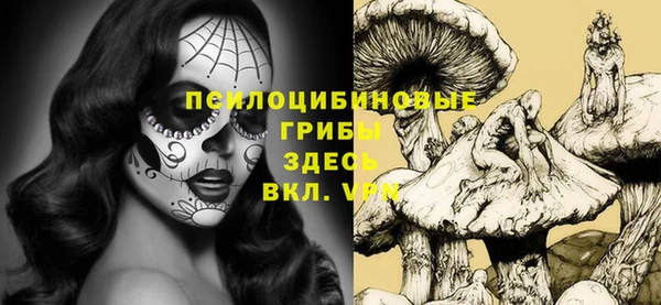 apvp Осташков