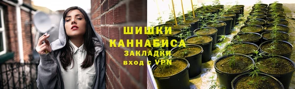 apvp Осташков