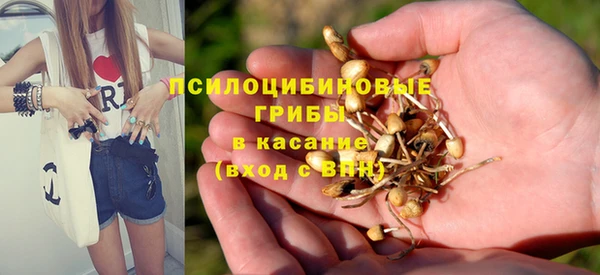 прущий лед Осинники