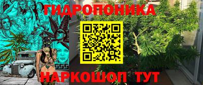 круглые Камышлов
