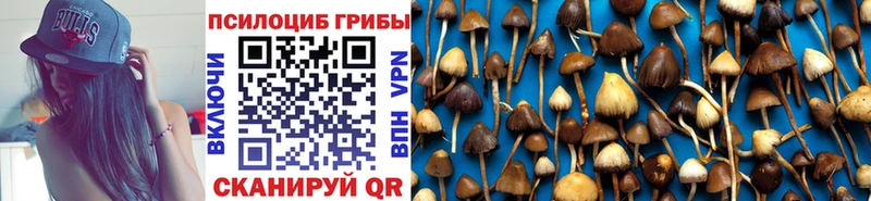блэк спрут маркетплейс  Краснодар  Галлюциногенные грибы ЛСД 