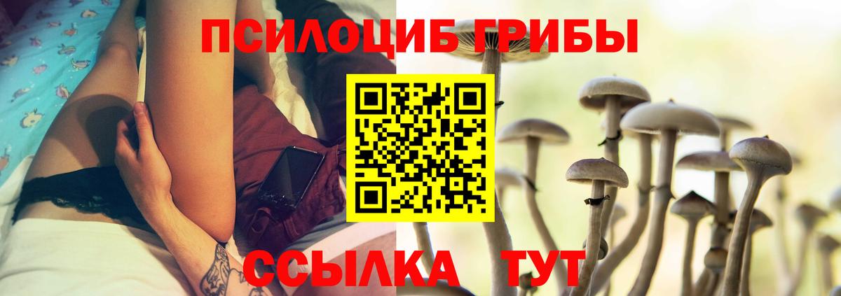 Галлюциногенные грибы мухоморы  Псилоцибиновые грибы GOLDEN TEACHER  Вход с VPN  Краснодар 